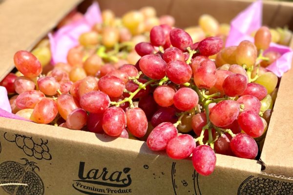 Crimson Red Grapes Box by Lara´s Premium Produce