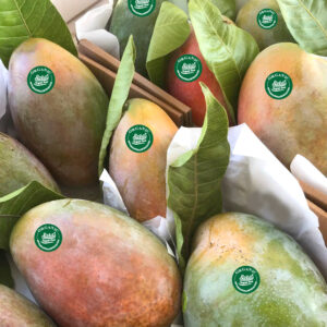 Saras Organic Food Keitt Mangos