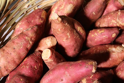 Sweet Potatoes from Sara´s Organic Food