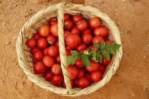 Organic Tomatoes - 500 gm