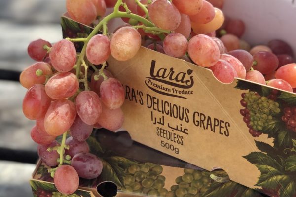 Delicious Seedless Red Grapes from Lara´s Organic Produce by Sara´s Organic Food