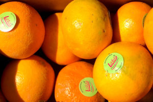 Baladi Oranges – 1 kg