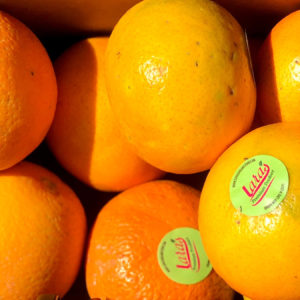 Navel Oranges from Lara´s Premium Produce by Sara´s Organic Food