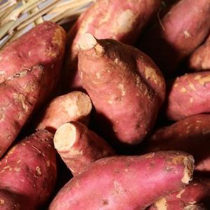 Sweet Potatoes from Sara´s Organic Food