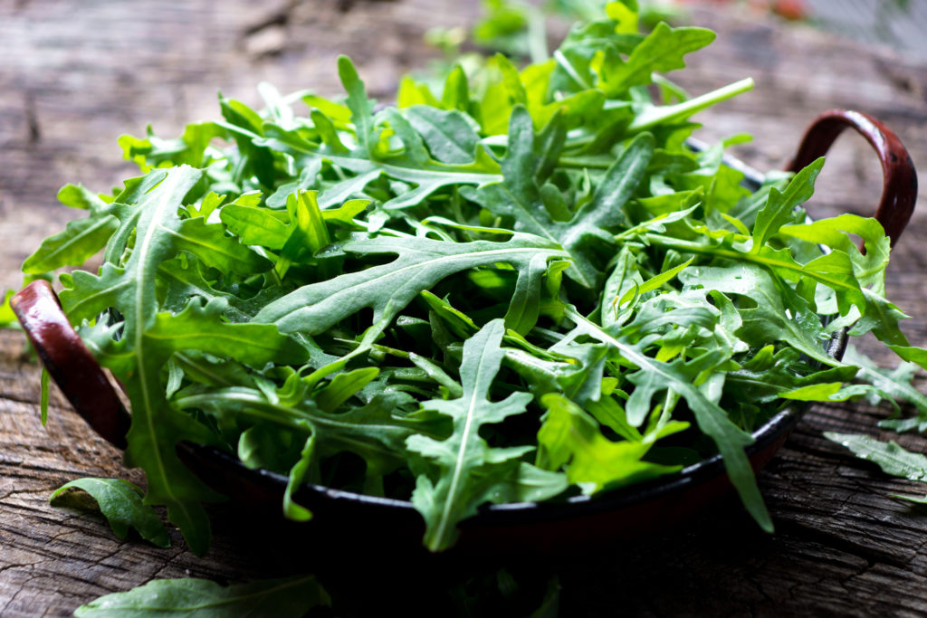 Organic Arugula from Sara´s Organic Food