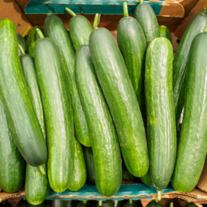 Organic Cucumber from Sara´s Organic Food