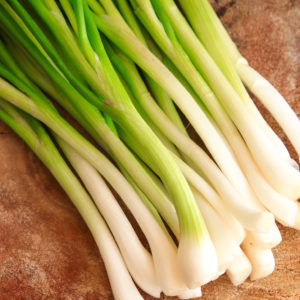 Spring Onions from Sara´s Organic Food