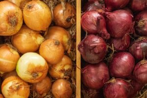 Organic Golden and Red Onion Box - 4 kg