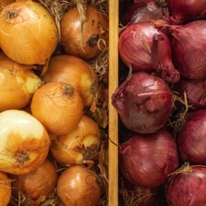 Sara´s Organic Golden and Red Onion Box